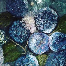 Hortensias