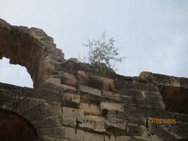 Naître dans l'antiquité