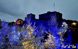 MON BEAU SAPIN .....