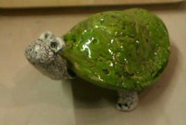 tortue 2