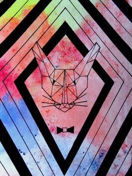 " Le chat sous la pluie de couleurs "