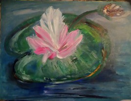 Nénuphar " fleurs de lotus"