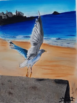 L'envole de la mouette