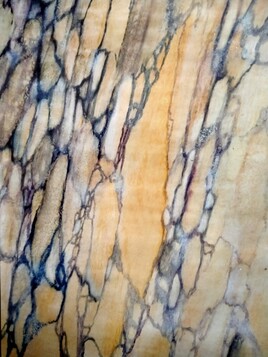 Br&egrave;che violette