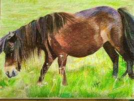 Le cheval dans le pré