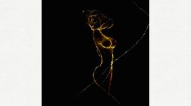 Les courbes &agrave; convoiter