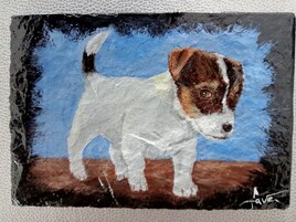 "Chiot Jack Russel"