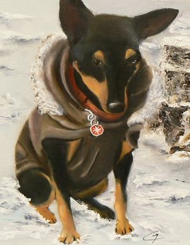 Chouchou dans la neige