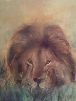 lion