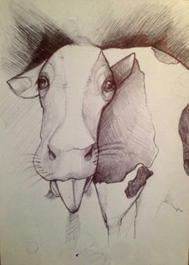 Cow