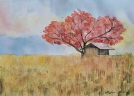 Le cabanon au milieu du pr&eacute; !