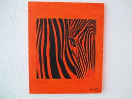 zebre