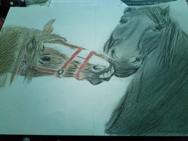 bisou chevaux