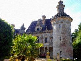 Cours Château de Pons