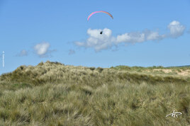 Vol au dessus des dunes