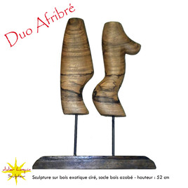 DUO AFRIBRE