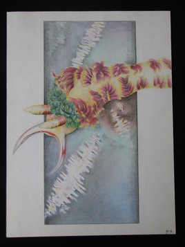 "Gast&eacute;ropode Surfer"