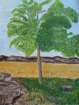 L'arbre dans la Sierra de Guara...