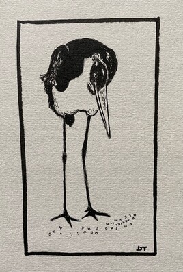 L'oiseau qui savait lire