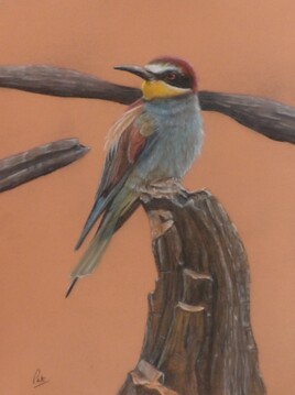 Ristretto &agrave; V&eacute;rone