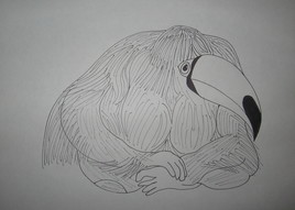Orang-toucan