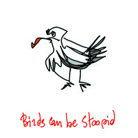 birds can be stoopid
