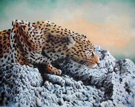 Léopard sur le rocher