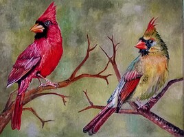Mr et Mad Cardinal