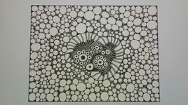 Floraison hivernale suite