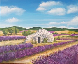 Au pays de la lavande