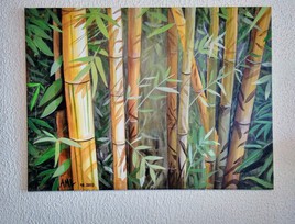 For&ecirc;t de bambous