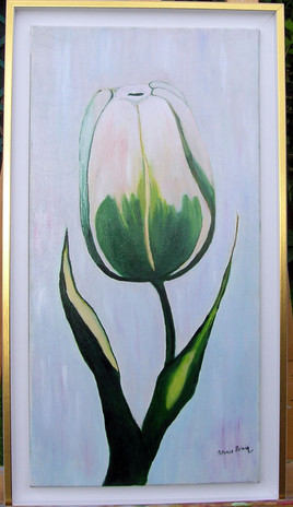 la tulipe