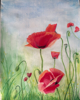 Gentils coquelicots