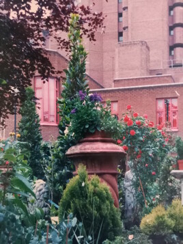 Jardinerie. Londres 1987