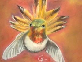 Colibri roux du Canada