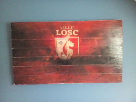 LOSC
