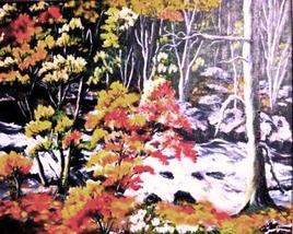 LES CHUTES DE ROWDON