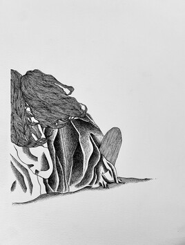 Silhouette 4