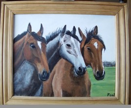 Portrait chevaux