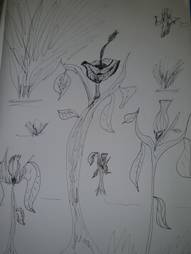 Beso para&icirc;t una flor