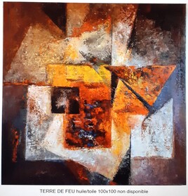 Terre de feu Terre de feu