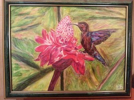 colibri sur sa fleur