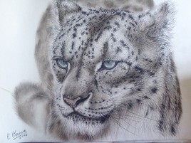 panth&egrave;re des neiges