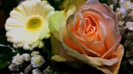 For my sweet mom and for all mothers.."