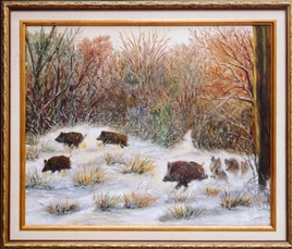 sangliers dans la neige