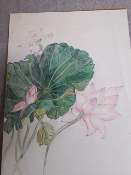 lotus inachevé