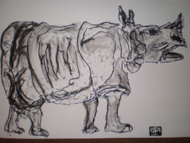 Rhinoceronte