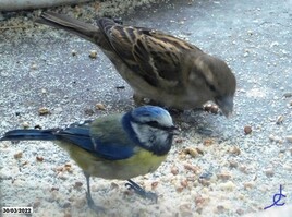 Avant hier, c'étaient eux...