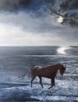 Un cheval à la plage