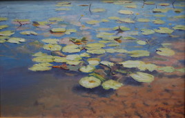 nénuphars et transparence de l'eau